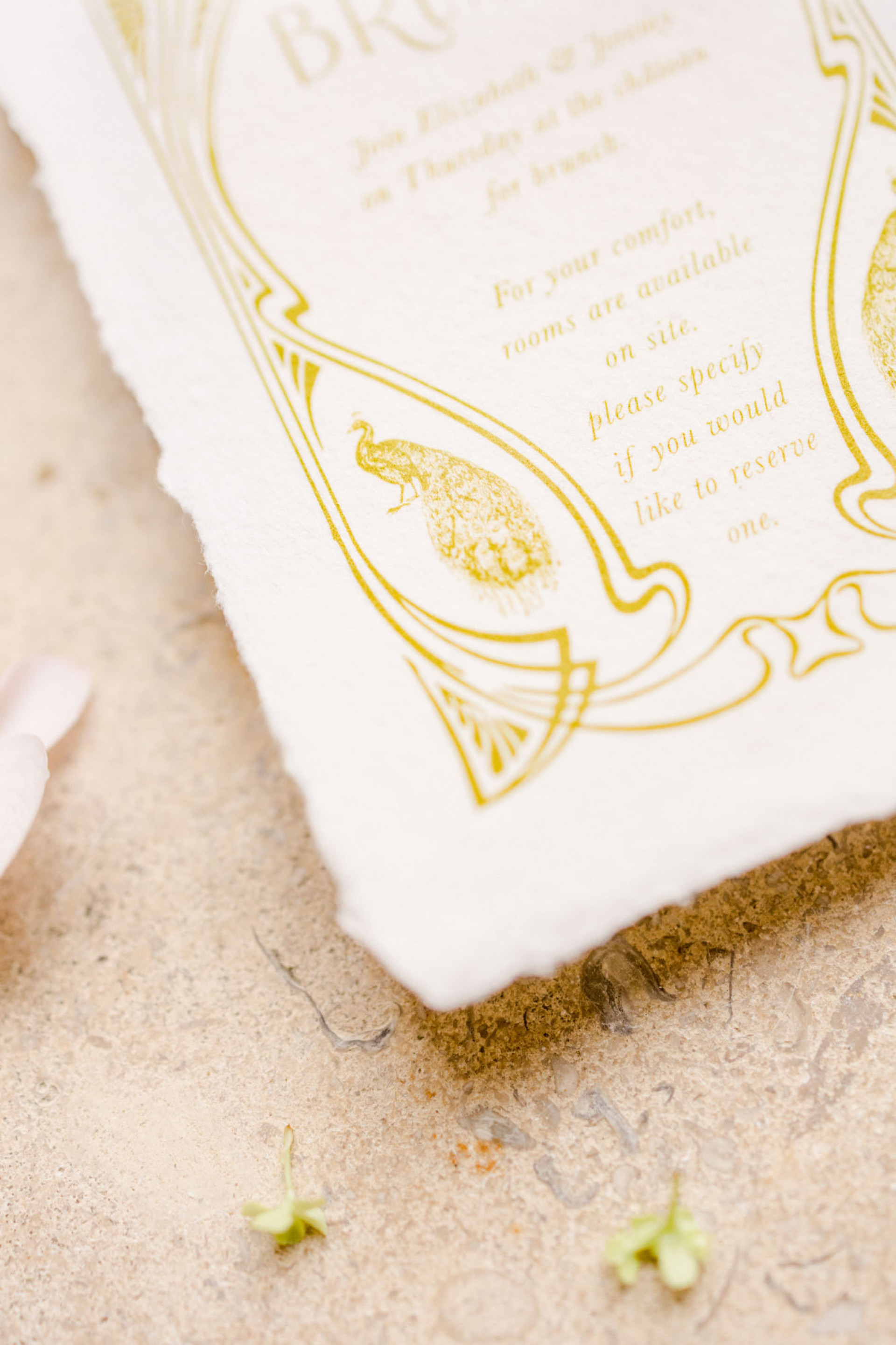 Shooting Inspiration Château de la Flocellière